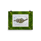 Robert E. Lee Monument Before