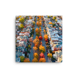 Canvas: Fall on Monument Avenue