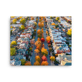 Canvas: Fall on Monument Avenue