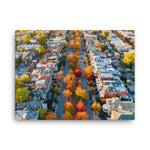 Canvas: Fall on Monument Avenue