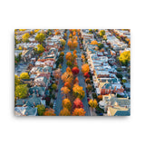 Canvas: Fall on Monument Avenue