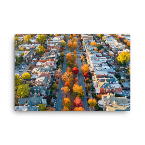 Canvas: Fall on Monument Avenue