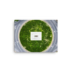 Canvas: Monument Avenue From Above