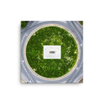 Canvas: Monument Avenue From Above