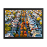 Framed Fall on Monument Avenue