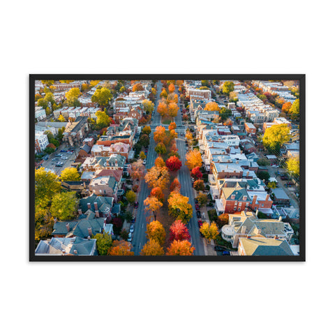 Framed Fall on Monument Avenue