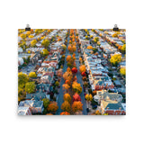 Fall on Monument Avenue