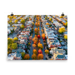 Fall on Monument Avenue