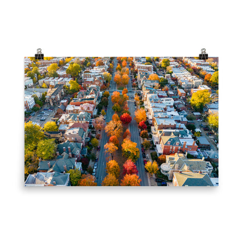 Fall on Monument Avenue